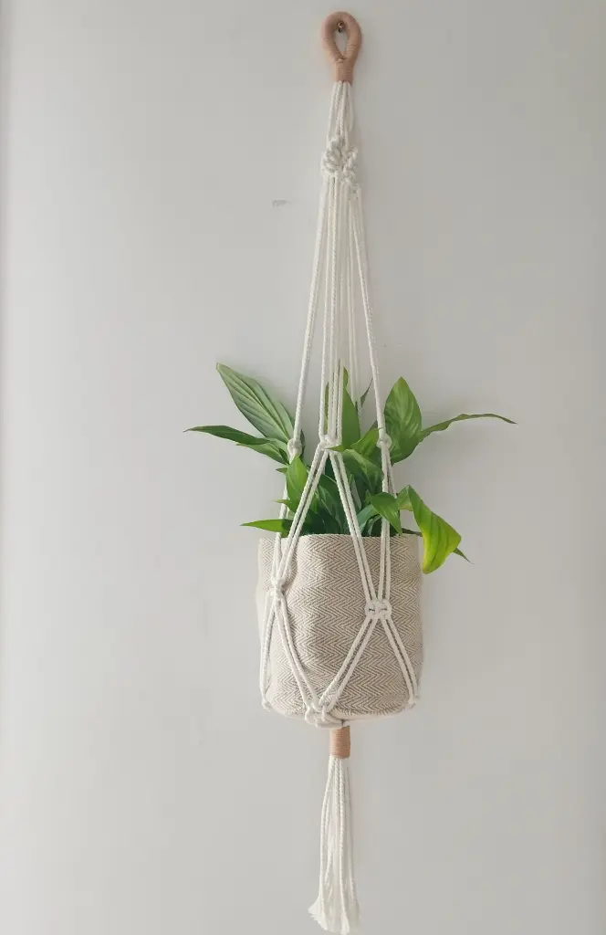 1743881588163 (1).webp