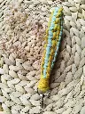 Llavero Pulsera Lima