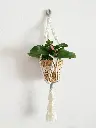 Macetero plantas macramé