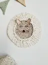 Gato Neo