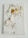 Cuadro texturas