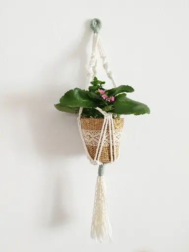 Macetero plantas macramé